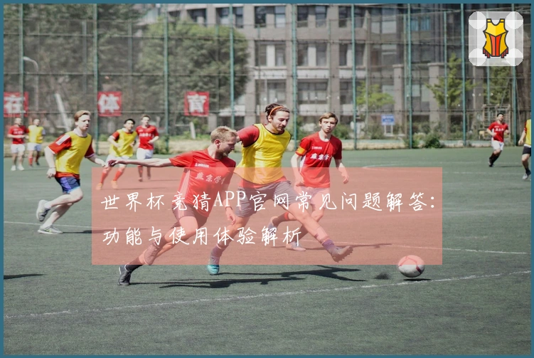 世界杯竞猜APP官网常见问题解答：功能与使用体验解析