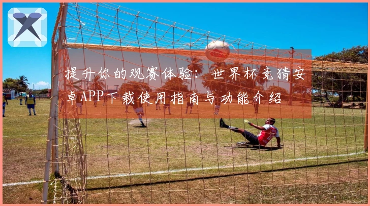 提升你的观赛体验：世界杯竞猜安卓APP下载使用指南与功能介绍