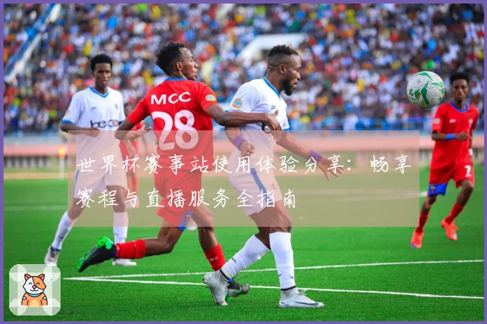 世界杯赛事站使用体验分享：畅享赛程与直播服务全指南
