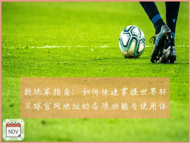 新玩家指南：如何快速掌握世界杯买球官网地址的各项功能与使用体验