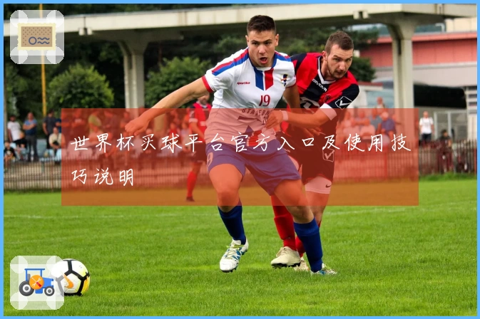 世界杯买球平台官方入口及使用技巧说明