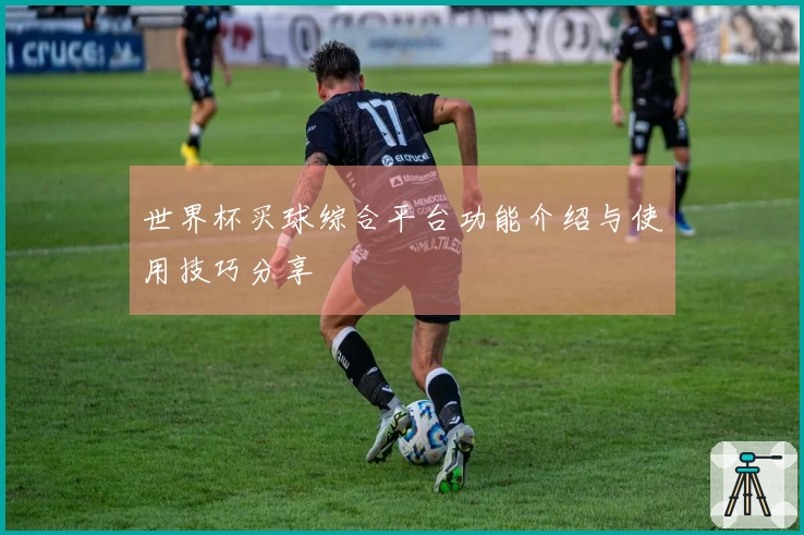 世界杯买球综合平台功能介绍与使用技巧分享