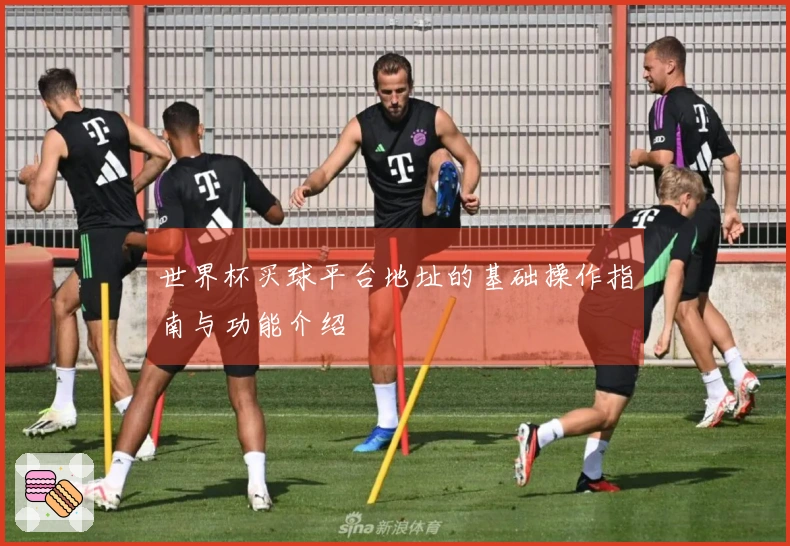 世界杯买球平台地址的基础操作指南与功能介绍