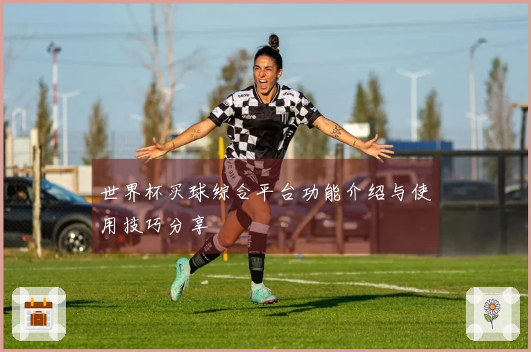 世界杯买球综合平台功能介绍与使用技巧分享