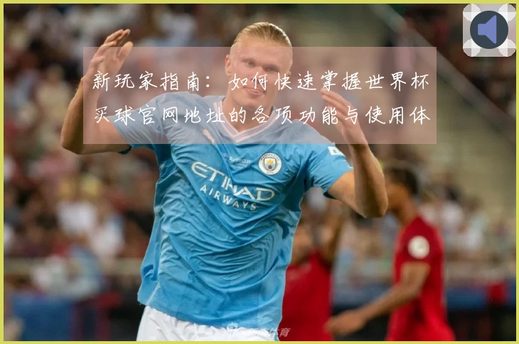新玩家指南：如何快速掌握世界杯买球官网地址的各项功能与使用体验