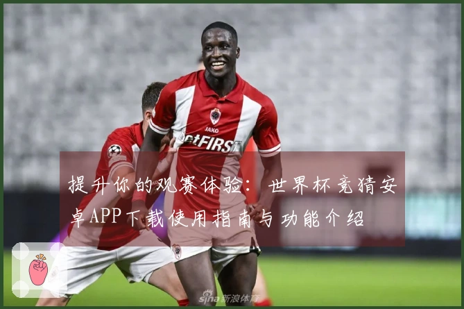 提升你的观赛体验：世界杯竞猜安卓APP下载使用指南与功能介绍