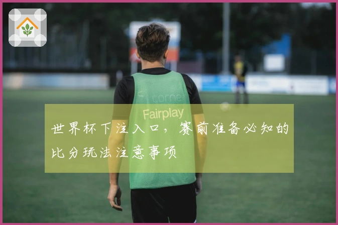 世界杯下注入口，赛前准备必知的比分玩法注意事项