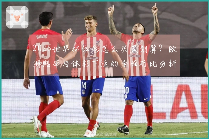 2026世界杯体彩怎么买最划算？欧洲赔率与体彩下注的全面对比分析