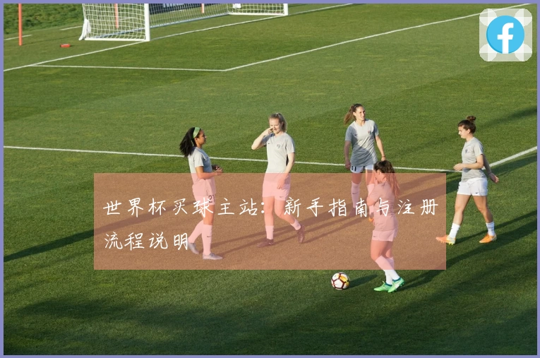 世界杯买球主站：新手指南与注册流程说明