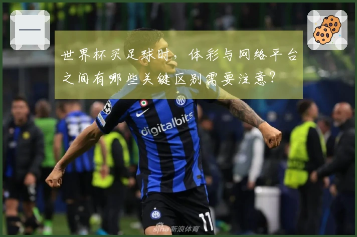 世界杯买足球时，体彩与网络平台之间有哪些关键区别需要注意？