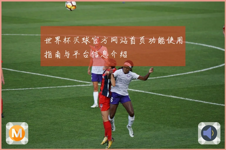 世界杯买球官方网站首页功能使用指南与平台信息介绍