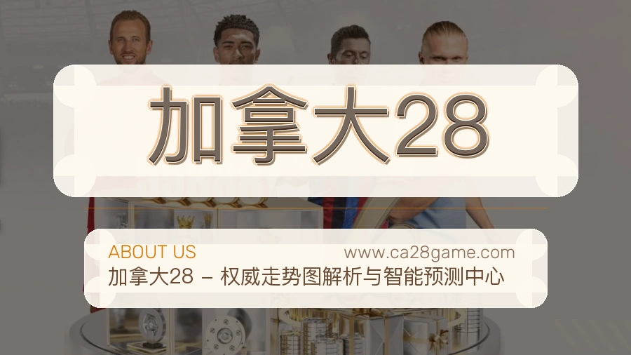 持续维护